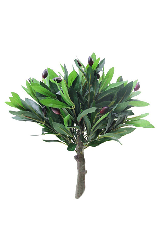 شجرة الزيتون الاصطناعية - 1