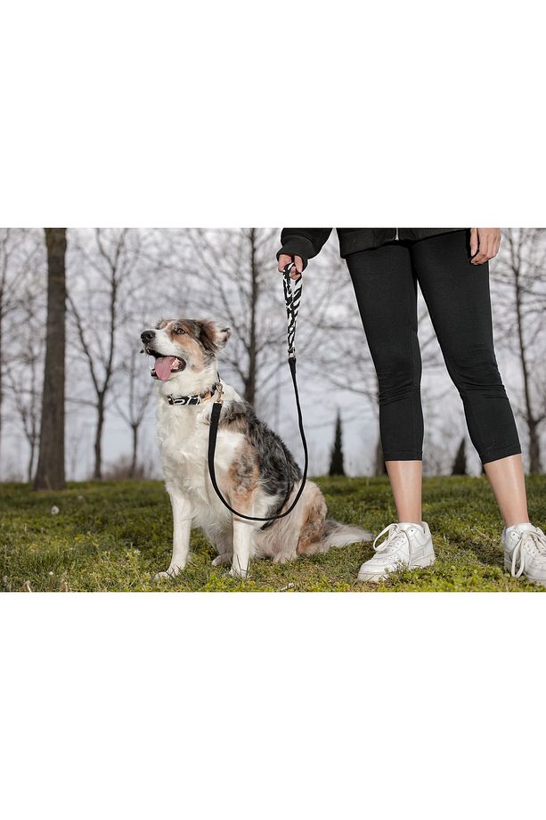 Charmlı Shadow Köpek Boyun Tasması Ve Gezdirme Kayış Seti - 2