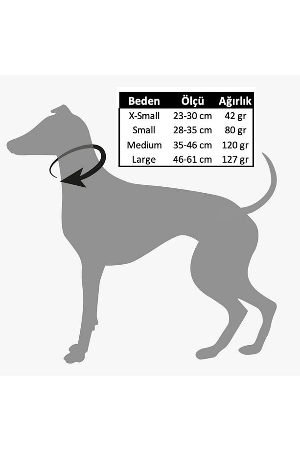 Charmlı Shadow Köpek Boyun Tasması Ve Gezdirme Kayış Seti - 4