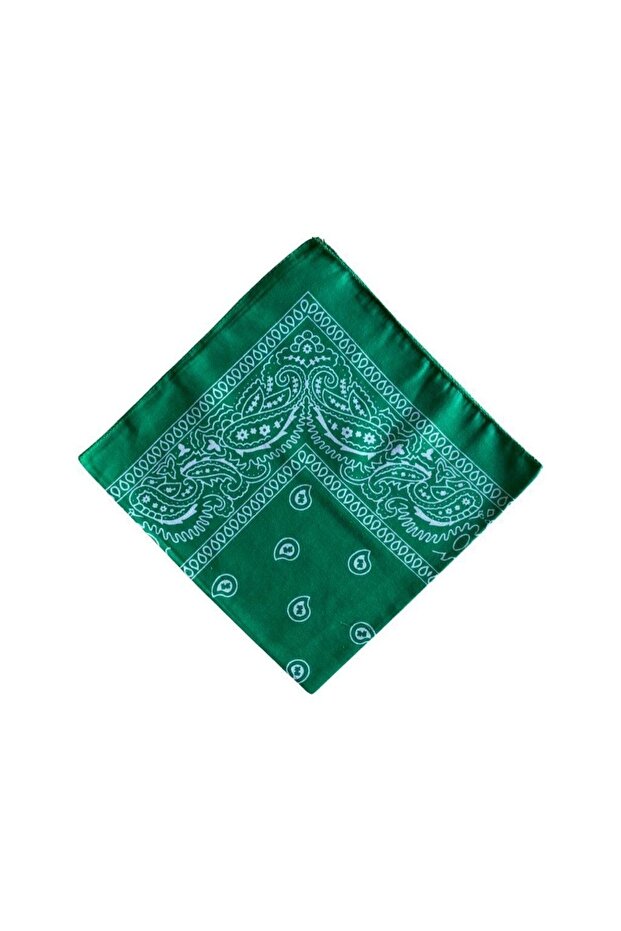 نمط السمك باندانا - 1