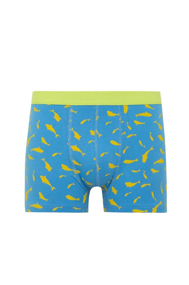 Regular Fit 3'lü Boxer - 4