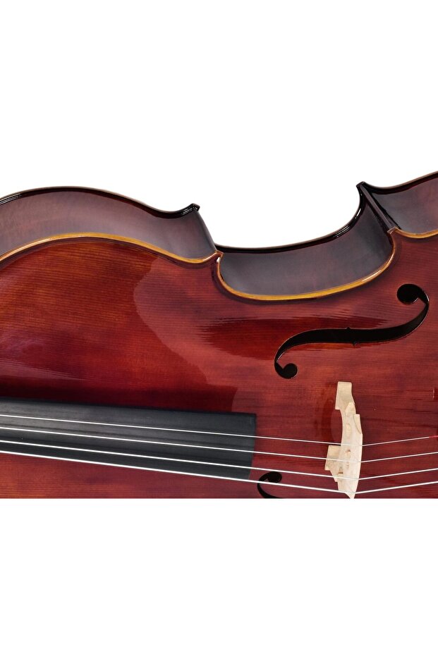 Cls470 Parlak Cilalı Ladin - Akçaağaç 4/4 Profesyonel Çello - 2