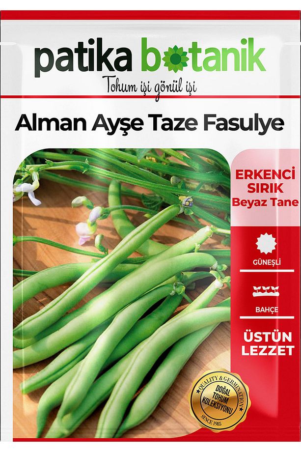 50 Adet Alman Ayşe Tipi Sırık Fasulye Tohumu - 3