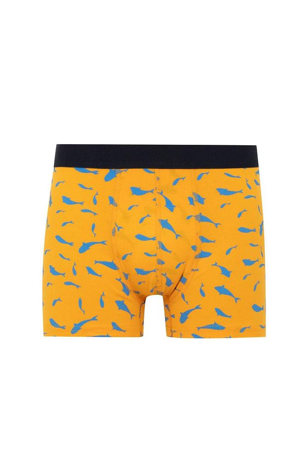 Regular Fit 3'lü Boxer - 3