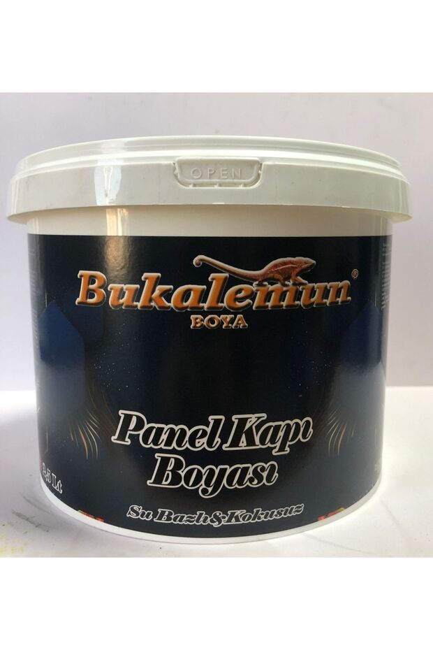 Su Bazlı Panel Kapı Boyası - 2