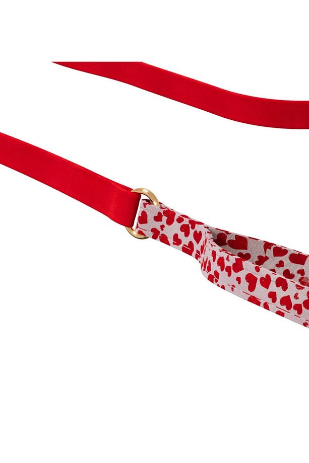Charmlı Valentine Köpek Boyun Tasması Ve Gezdirme Kayış Seti - 3