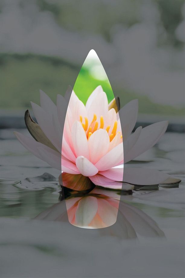 Lotus Kokulu Geri Akış Tütsüsü konik Tütsü Lotus Backflow Incense Cones 10 Adet - 3