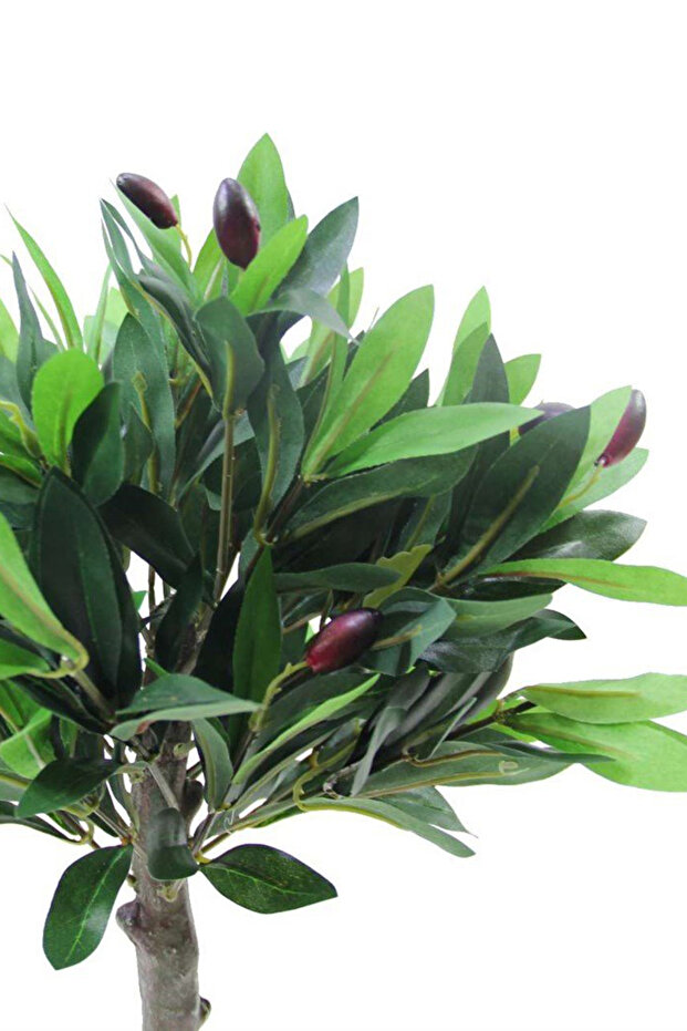 شجرة الزيتون الاصطناعية - 2