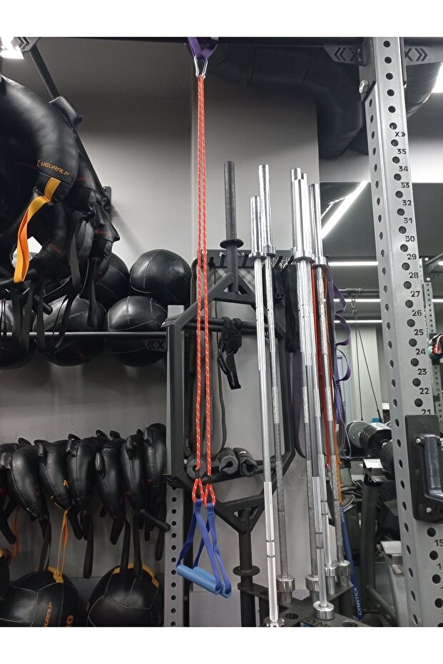 Mavi Airope Basic Trainer Egzersiz Tekerleği - 5