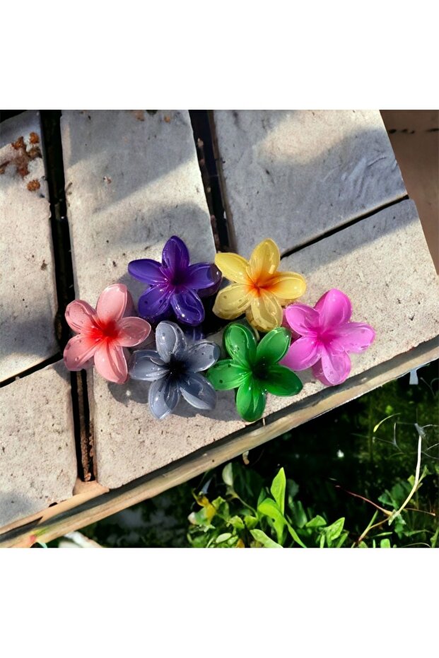 لوتس مشبك لون مخصص - 2