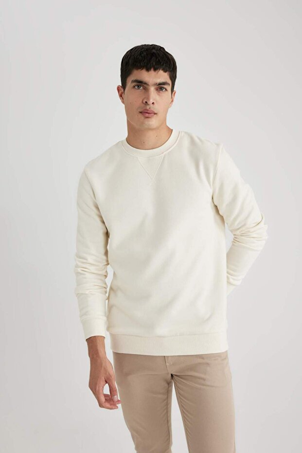 Regular Fit Sweatshirt - 1