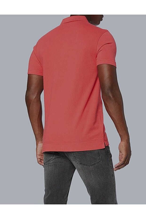 Hm Polo Color + Tr - 2