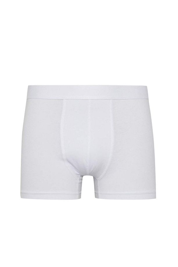 Regular Fit 3'lü Boxer - 7