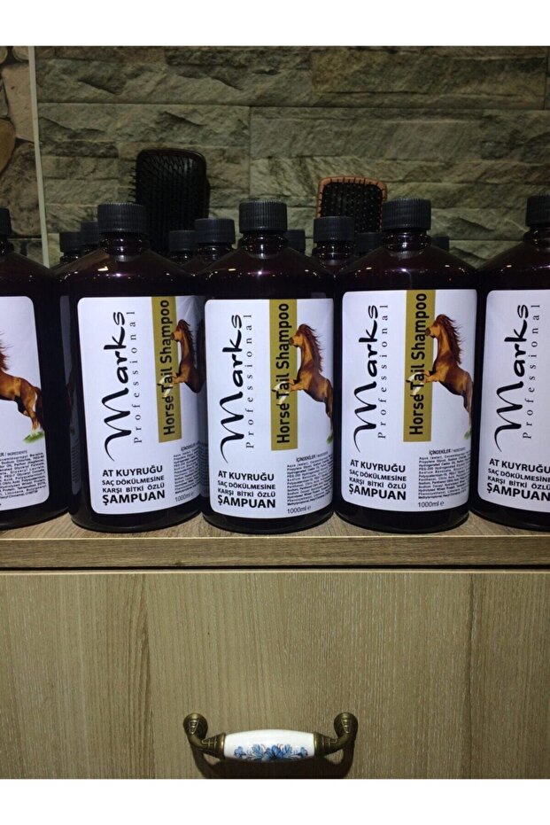 شامبو ماركس الذيل - 2