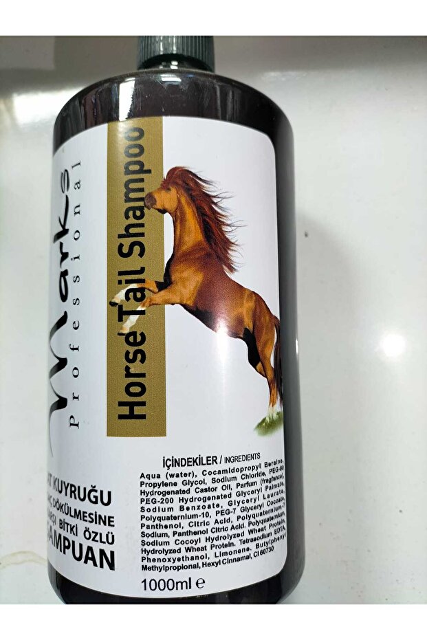 شامبو ماركس الذيل - 1