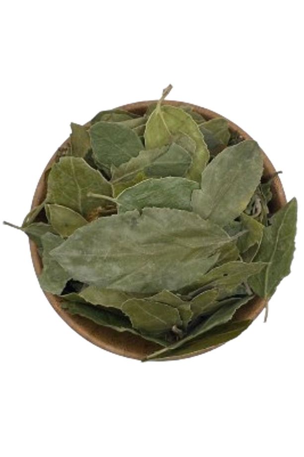 Sedir (SİDİR, SİDR) Ağacı Yaprağı 250 gr - - 3