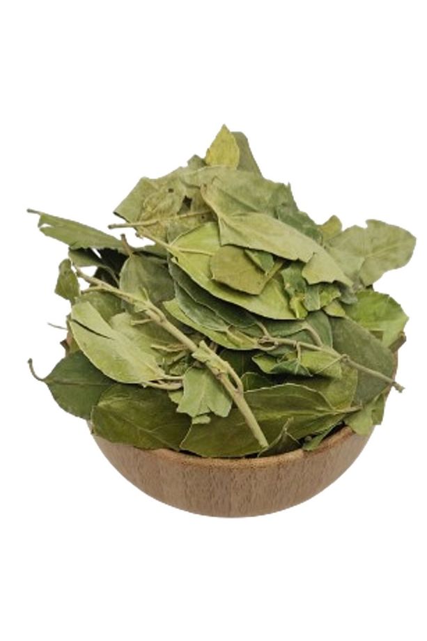 Sedir (SİDİR, SİDR) Ağacı Yaprağı 250 gr - - 5