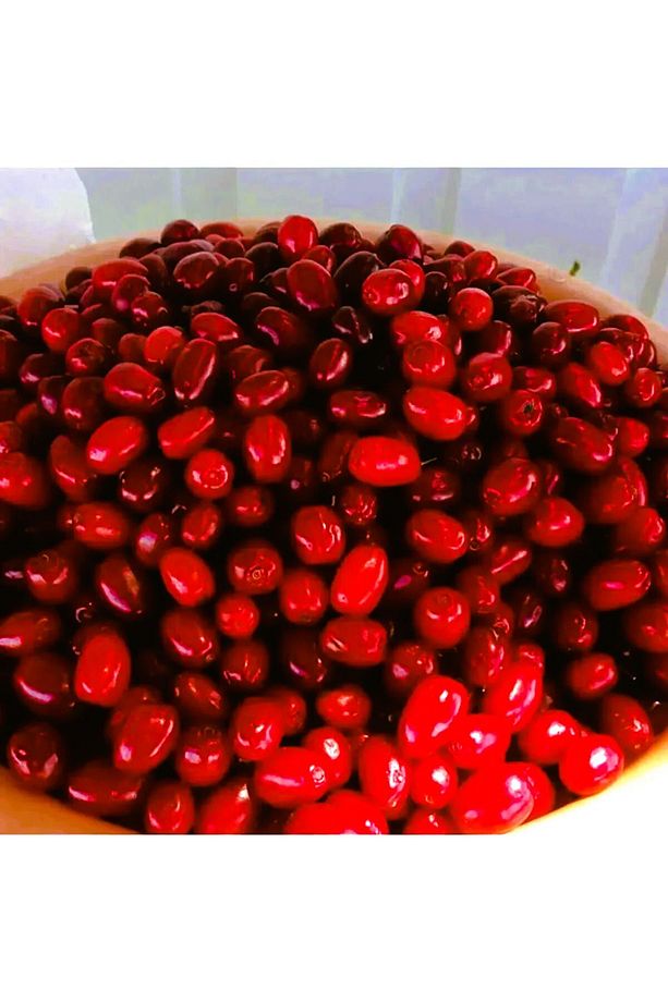 Erzurum Ipekgurme Donmuş Kızılcık Meyvesi 1kg Temiz - 1