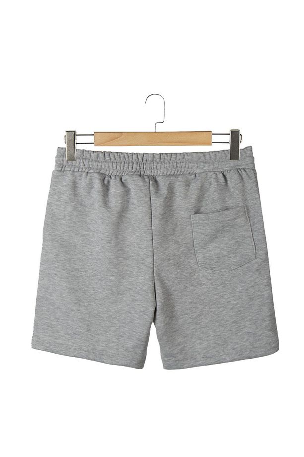 Erkek Kırçıllı Gri Basic Regular Fit Şort & Bermuda - 6