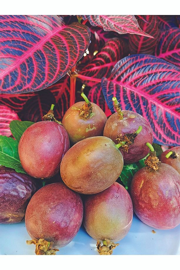 Çarkıfelek Meyvesi, 1 Kg, Pasiflora, Passiflora, Passion Fruit, Aşk Meyvesi - 1
