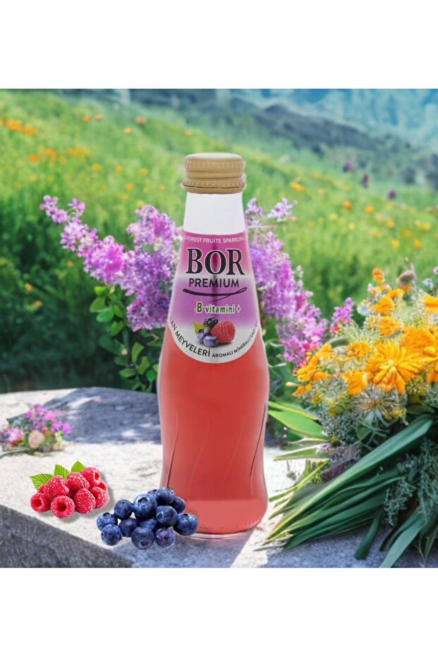 Orman Meyve 200 ml 6 Adet - 2