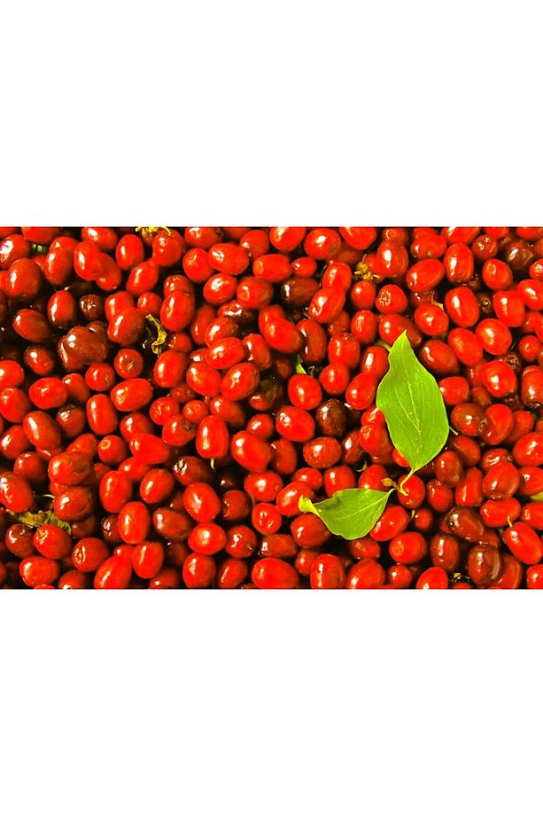 Erzurum Ipekgurme Donmuş Kızılcık Meyvesi 1kg Temiz - 5