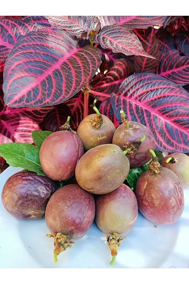 Çarkıfelek Meyvesi, 1 Kg, Pasiflora, Passiflora, Passion Fruit, Aşk Meyvesi - 4