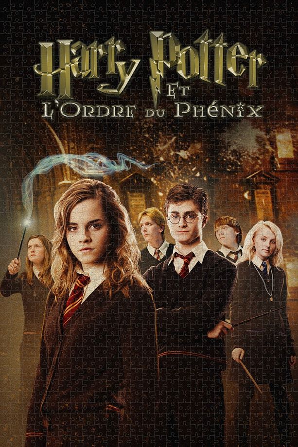Harry Potter and the Order of the Phoenix (2007) Film Posterinin 1000 Parça Puzzle Yapbozu Y1 - 1