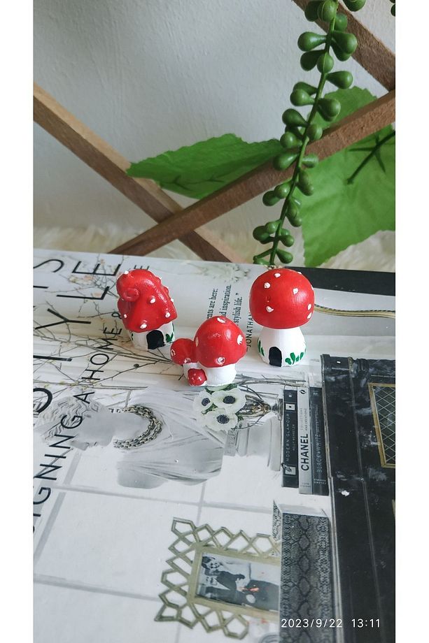 EVDEKİ ATÖLYEM Mini Teraryum mantar objeleri - 1