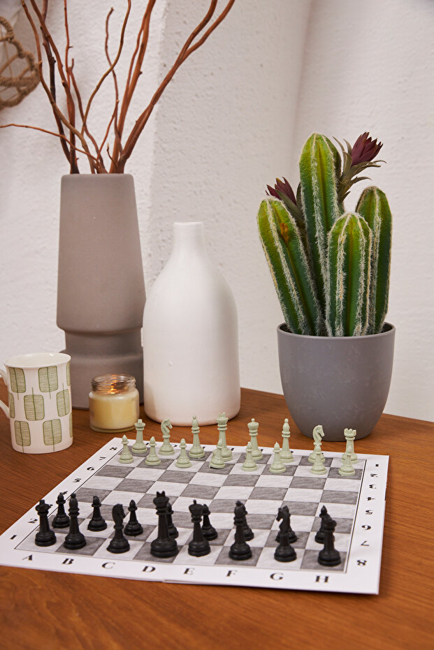 مجموعة الشطرنج، مجموعة الشطرنج التعليمية، مجموعة الشطرنج التعليمية، لعب الشطرنج والتعلم - 3