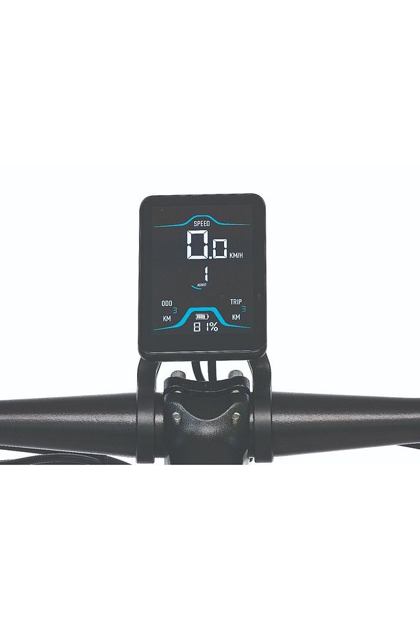 29 Jant Ralf Elektrikli Bisiklet E-mtb Ralf 29 Jant Elektrikli Dağ Bisiklet '' Siyah - 4