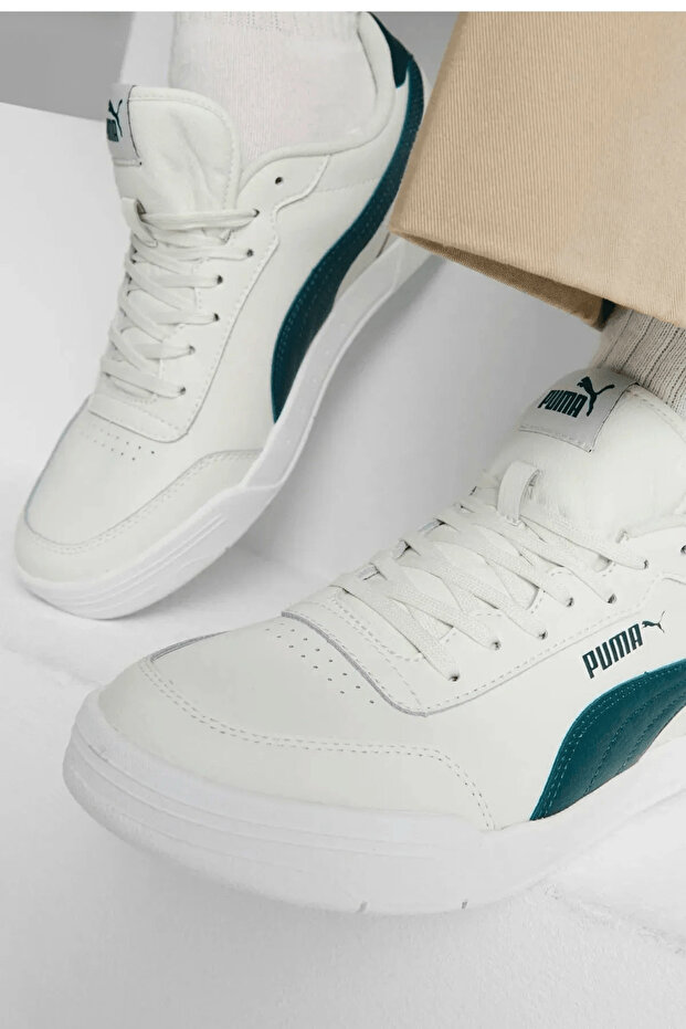 Caracal 36986339 - 3