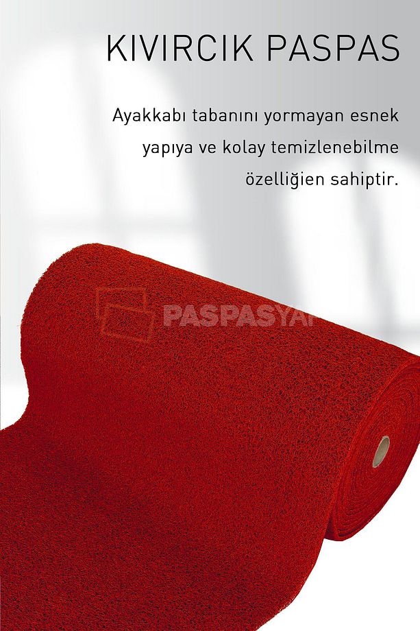 Su Emici Dış Kapı Paspası Iş Yeri Apartman Bahçe Ofis Mekan Paspası Kıvırcık Paspas - 3