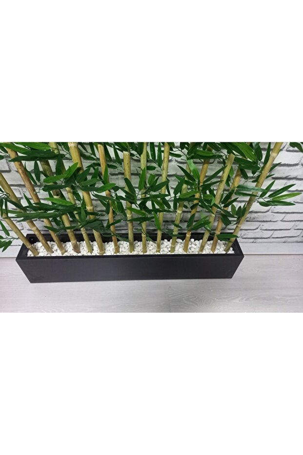 100 Cm Saksıda 200 Cm 15li Bambu Speratör - 2