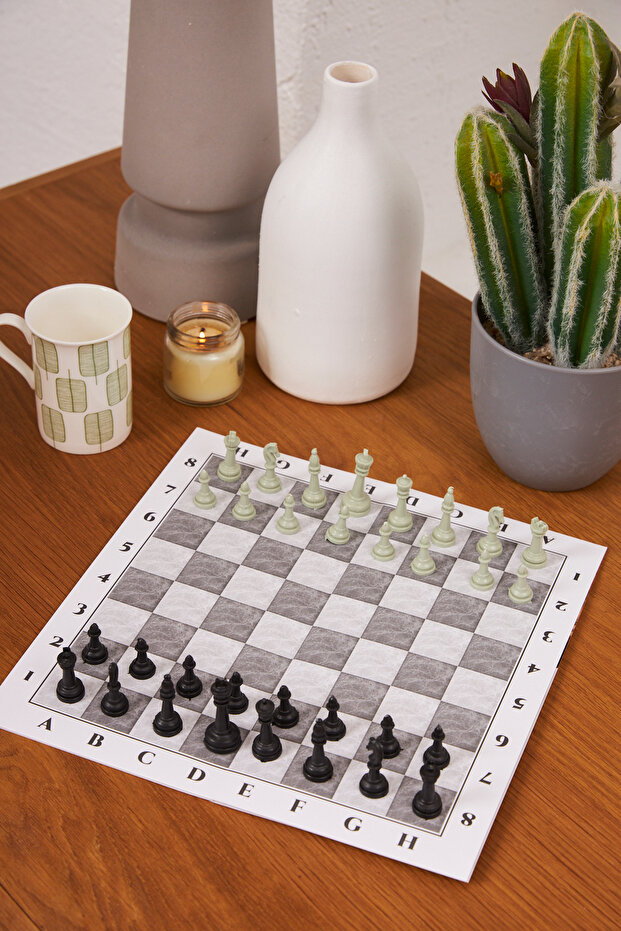 مجموعة الشطرنج، مجموعة الشطرنج التعليمية، مجموعة الشطرنج التعليمية، لعب الشطرنج والتعلم - 8