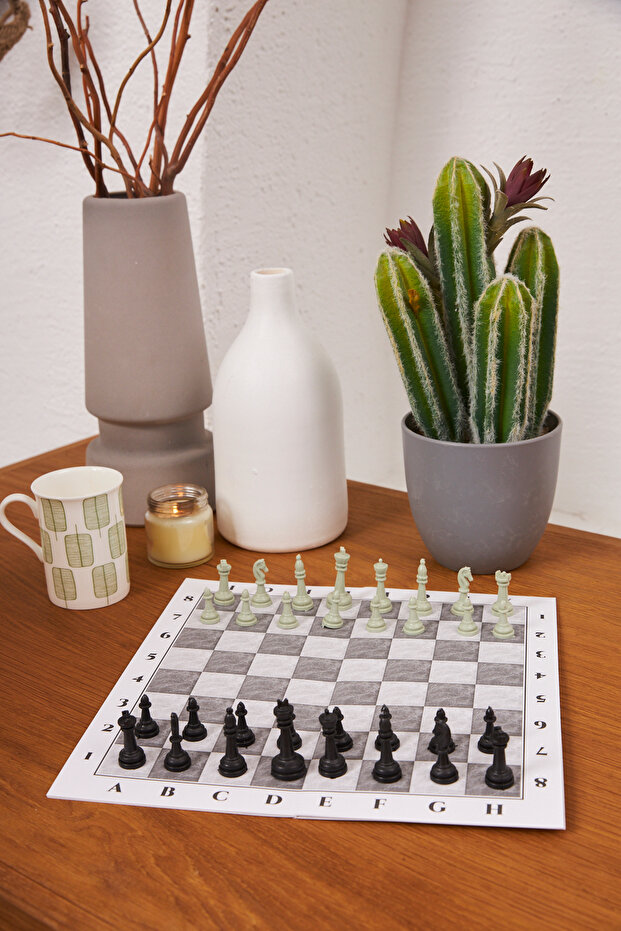 مجموعة الشطرنج، مجموعة الشطرنج التعليمية، مجموعة الشطرنج التعليمية، لعب الشطرنج والتعلم - 6