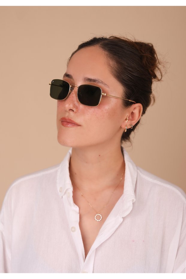 AR Collection Unisex Metal Polarized Sunglasses AR2228 C3