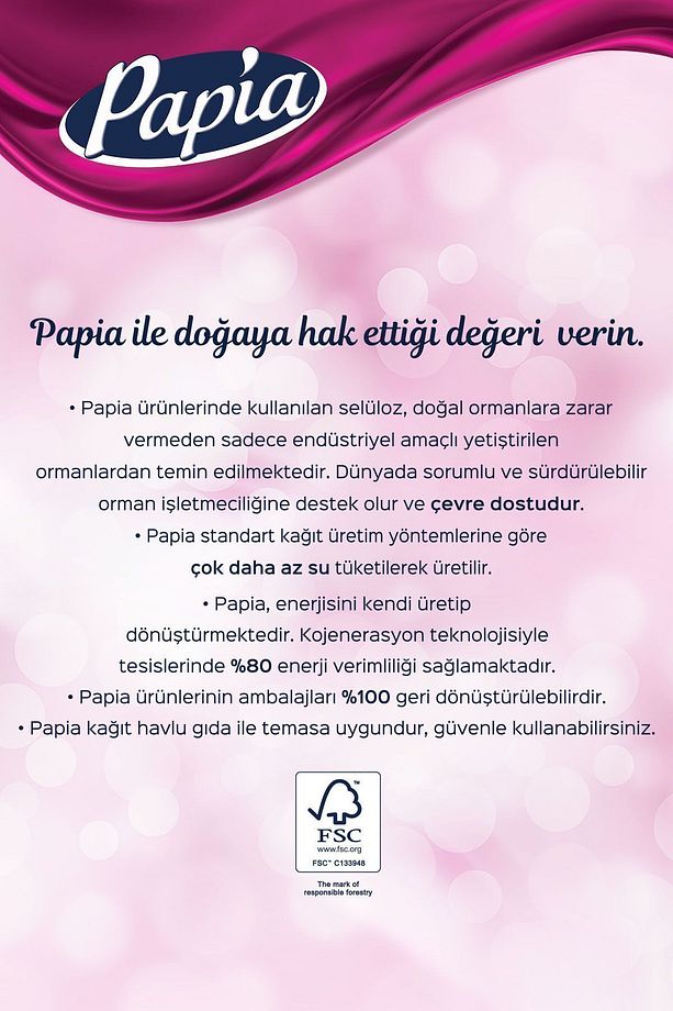 Kağıt Havlu 48 Rulo (12 RULO X 4 PAKET) - 5
