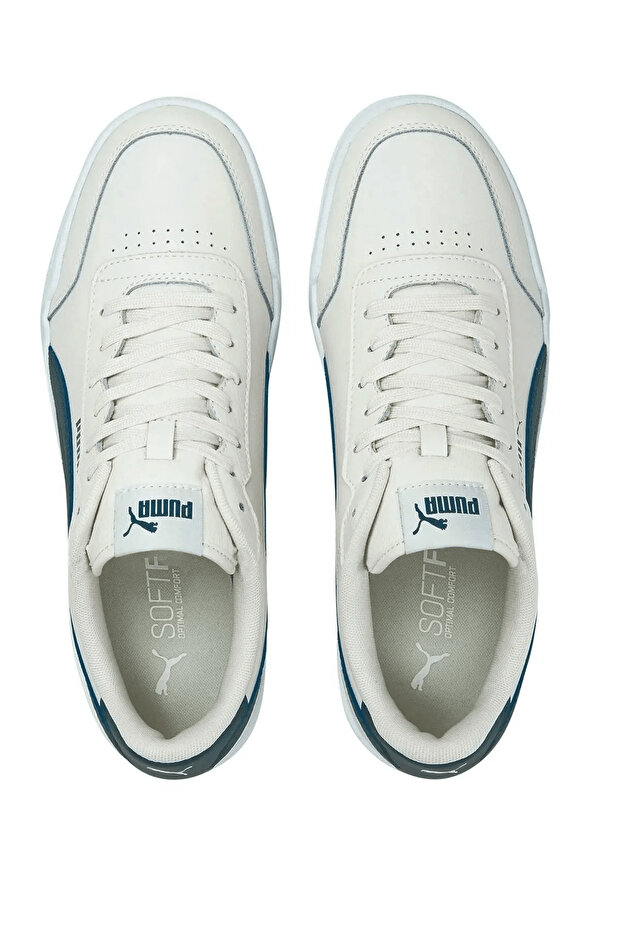 Caracal 36986339 - 6