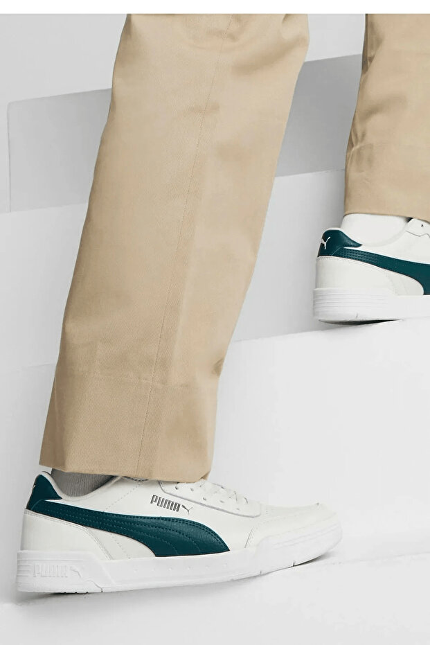 Caracal 36986339 - 2