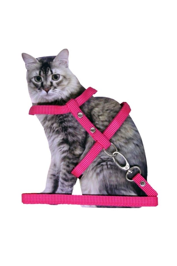 Ayarlanabilir Kedi Göğüs (bel) Tasması Pembe - 3