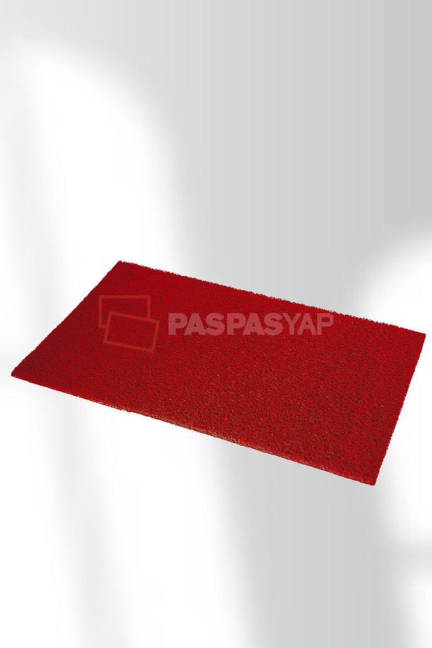 Su Emici Dış Kapı Paspası Iş Yeri Apartman Bahçe Ofis Mekan Paspası Kıvırcık Paspas - 4