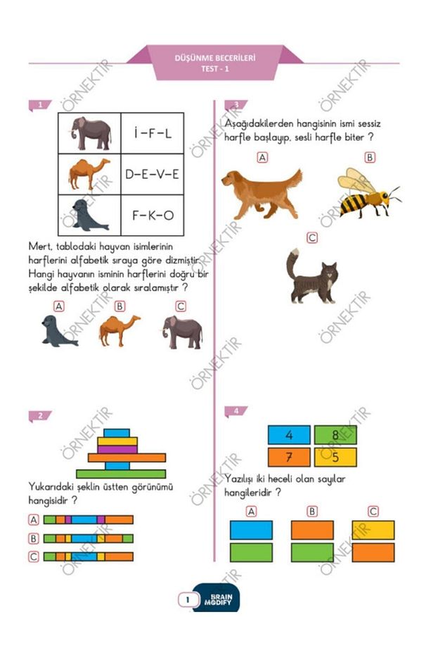Braın Modıfy 1.sınıf Yeni Nesil Soru Bankası - 2