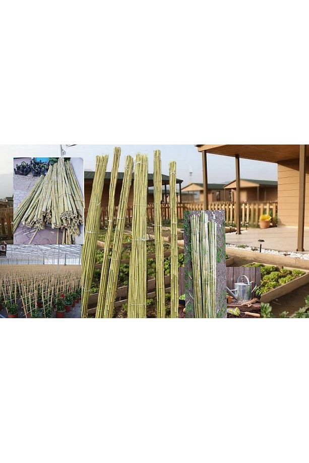 Fidan Ve Bitki Destek Çubuğu Kargı Kamış 15 Adet 180-200 Cm Hobi Bahçesi - 8