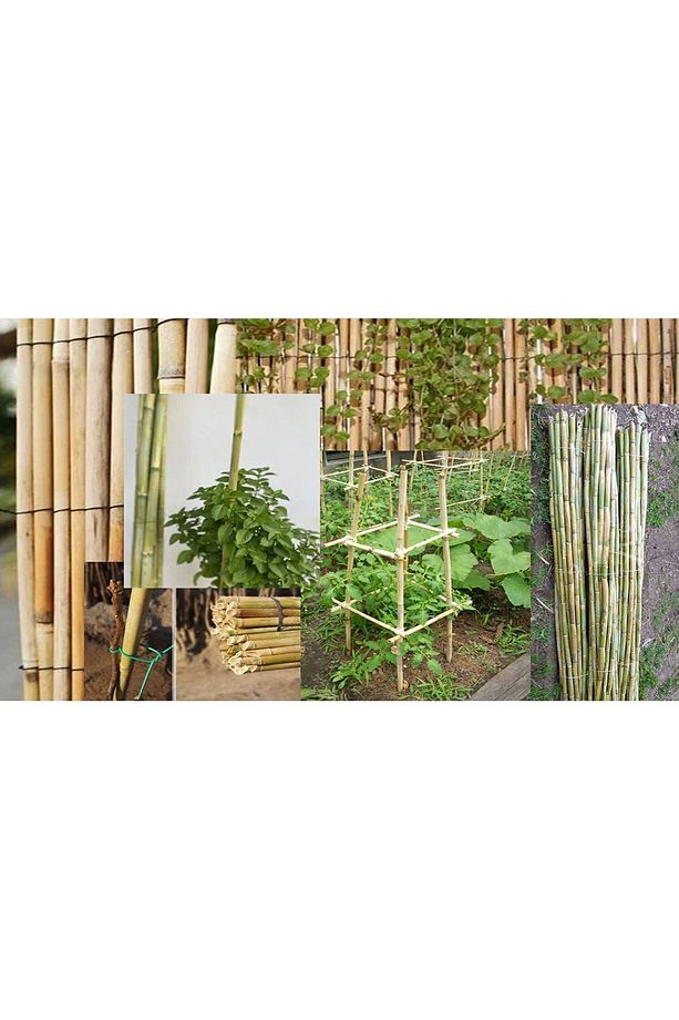 Fidan Ve Bitki Destek Çubuğu Kargı Kamış 15 Adet 180-200 Cm Hobi Bahçesi - 7