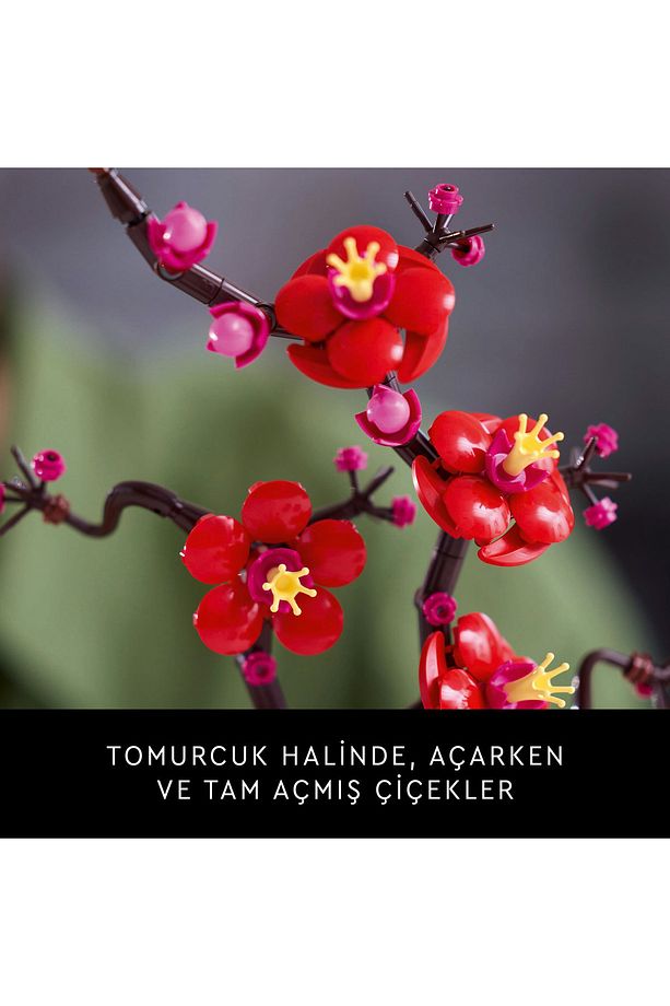 ® Botanicals Erik Çiçeği 10369 - 18+ Yaratıcı Model Yapım Seti (327 Parça) - 9