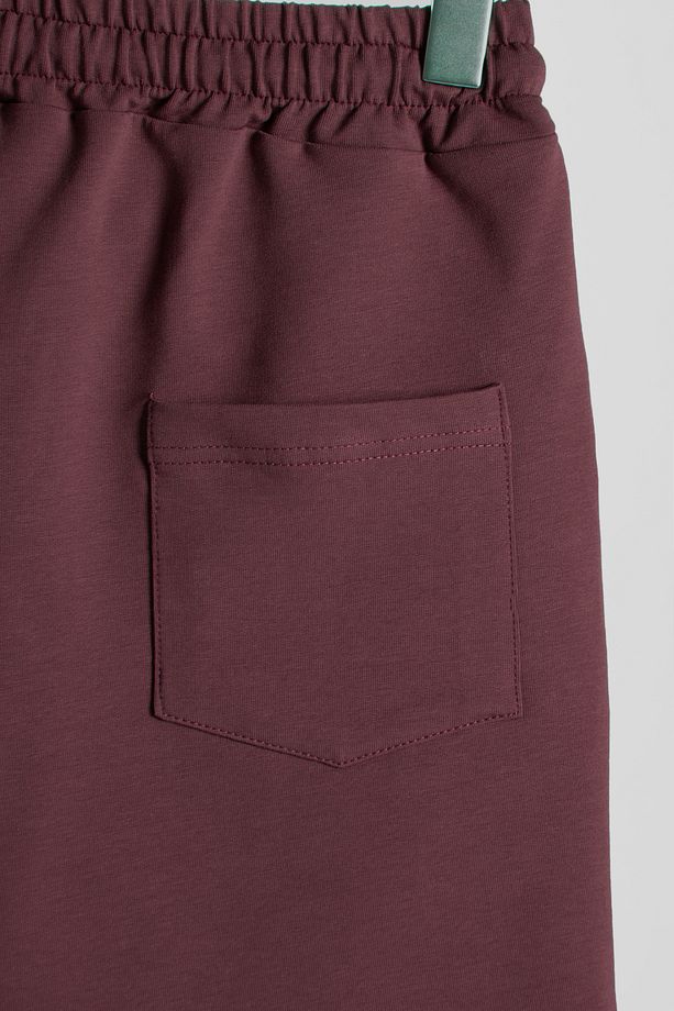 Erkek Bordo Basic Regular Fit Şort & Bermuda - 4