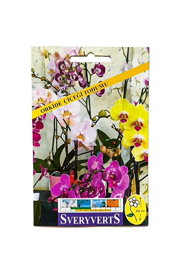 Orkide Çiçeği Tohumu - 1