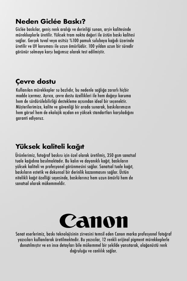 Japon Savaşçı Çerçevesiz Poster Duvar Tablosu Poster Modern Tablo Dekoratif Çerçevesiz Tablo - 5