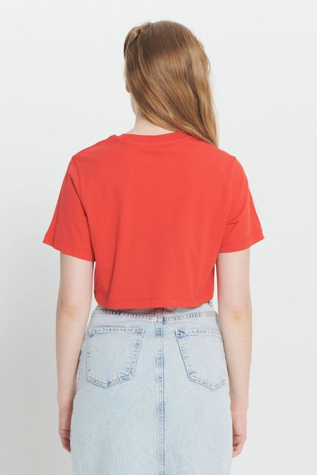 Kadın Kırmızı Standart Fit Normal Kesim %100 Pamuk Bisiklet Yaka Crop Tişört - 5